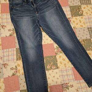 Size 12 Short American Eagle Jeggings Classic Women's Blue Stretch Jeans